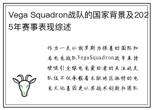 Vega Squadron战队的国家背景及2025年赛事表现综述